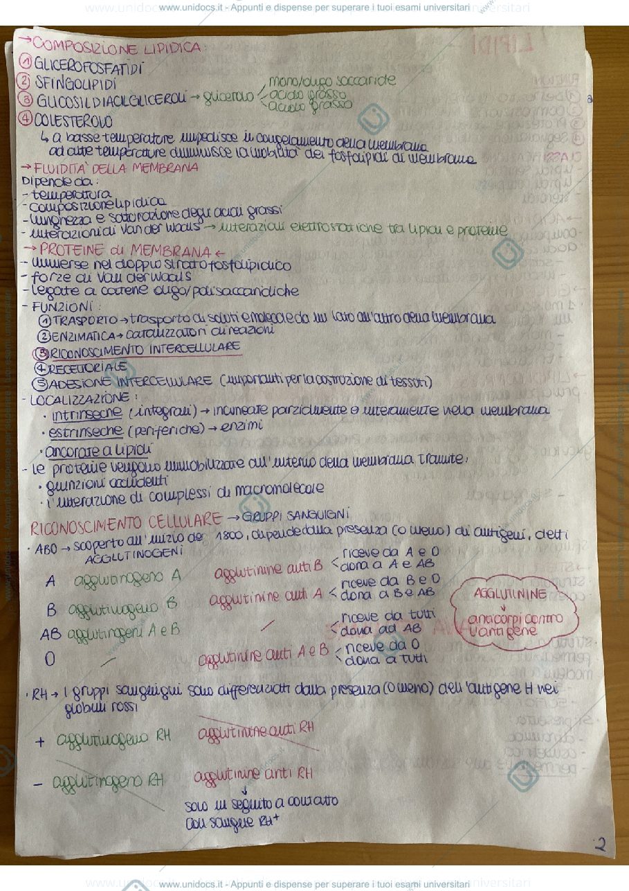 Anteprima pagina 2 — Sbobine Biologia