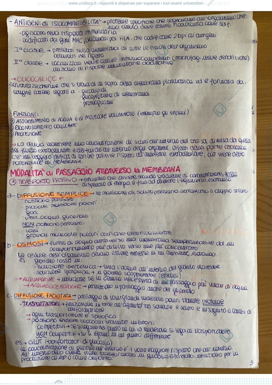 Anteprima pagina 3 — Sbobine Biologia