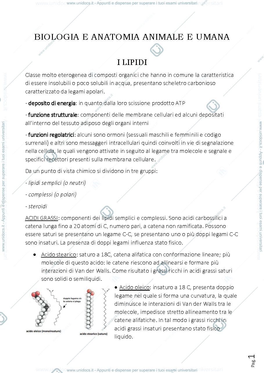 Anteprima pagina 1 — Sbobine biologia e anatomia umana