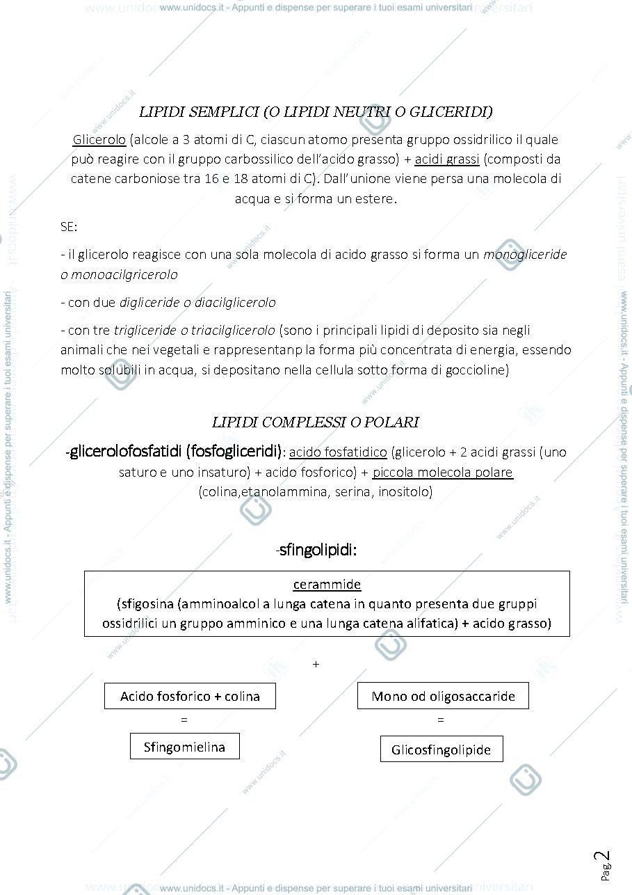 Anteprima pagina 2 — Sbobine biologia e anatomia umana