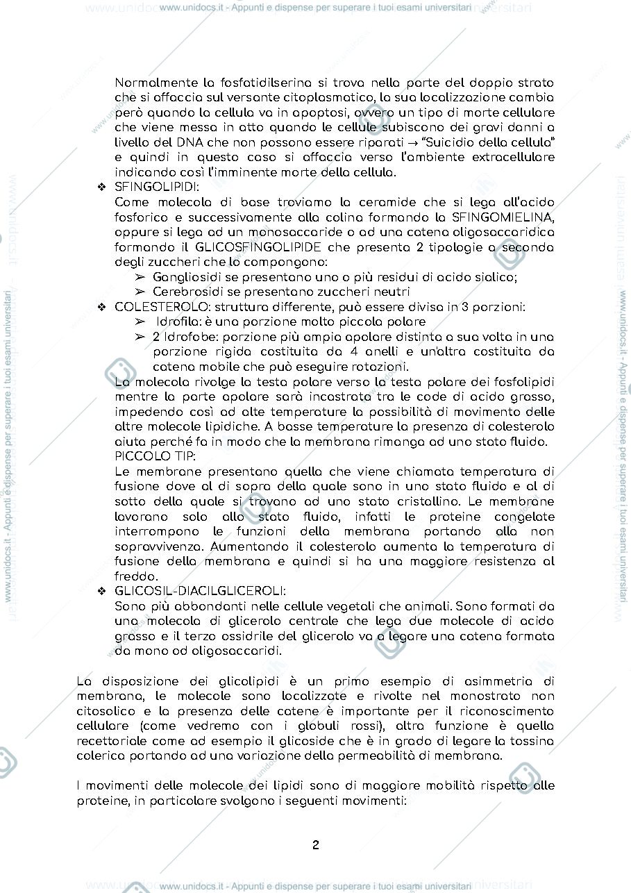 Anteprima pagina 2 — BIOLOGIA CONCONI - Struttura della cellula