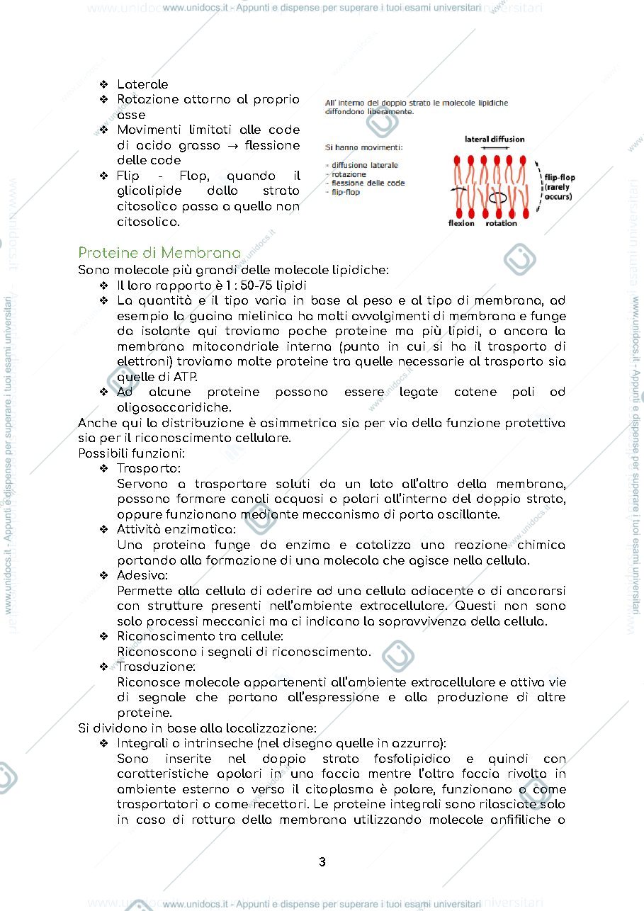 Anteprima pagina 3 — BIOLOGIA CONCONI - Struttura della cellula