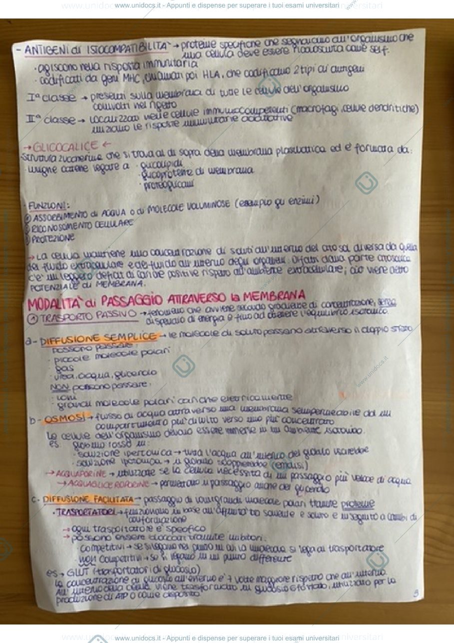 Anteprima pagina 2 — Biologia Animale