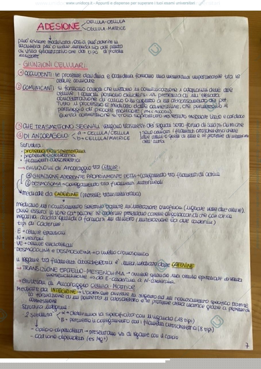 Anteprima pagina 3 — Biologia Animale