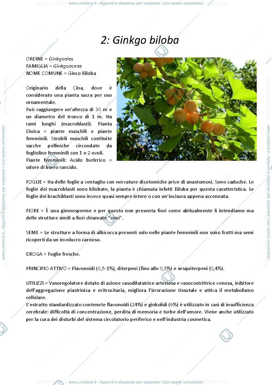 Anteprima pagina 3 — Tavole botaniche 
