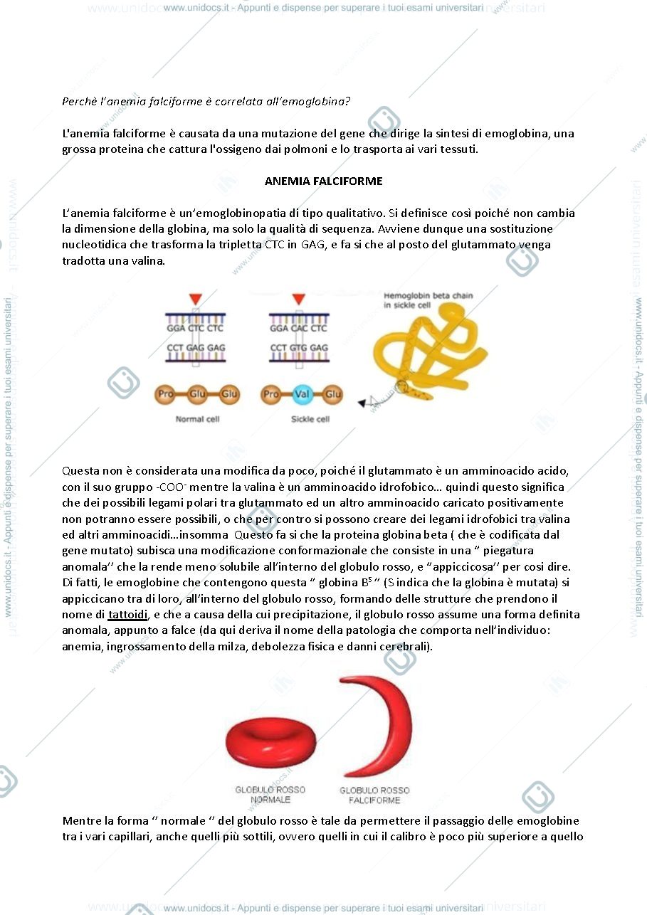 Anteprima pagina 2 — Emoglobinopatie