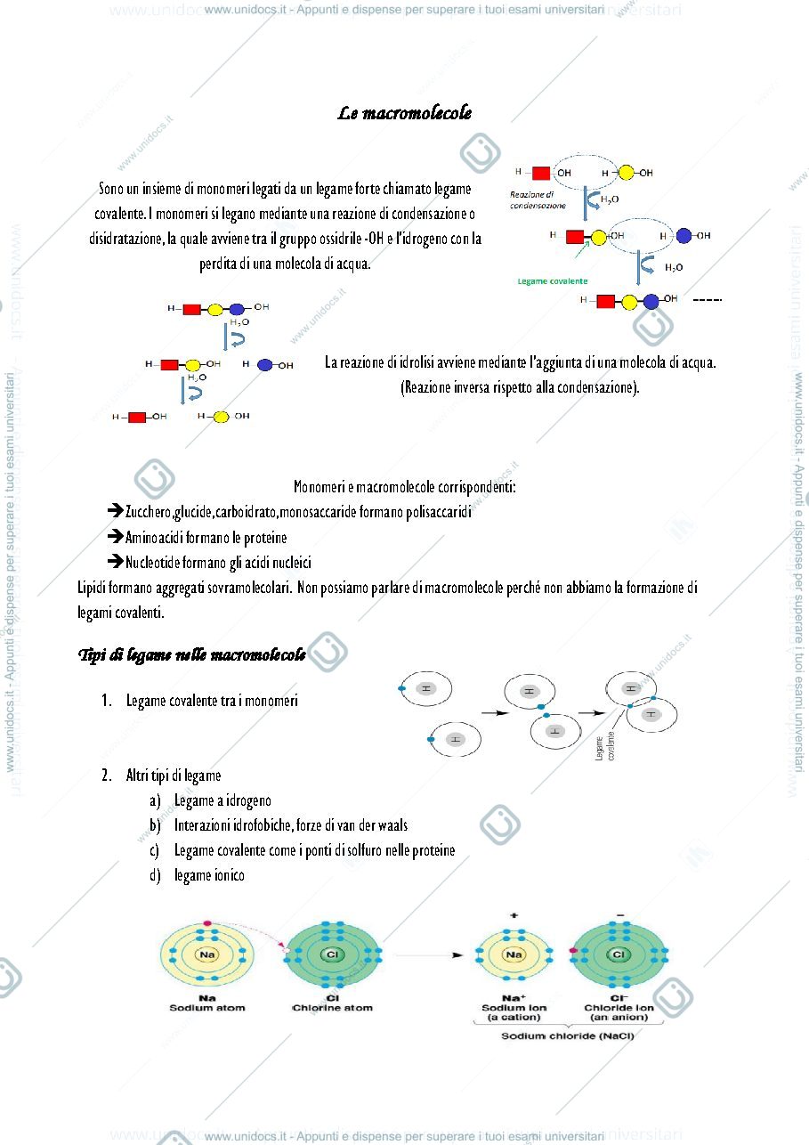 Anteprima pagina 1 — Parte 1- Appunti biologia anlimale 