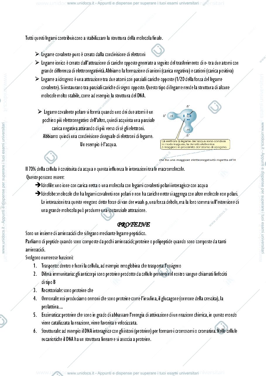 Anteprima pagina 2 — Parte 1- Appunti biologia anlimale 