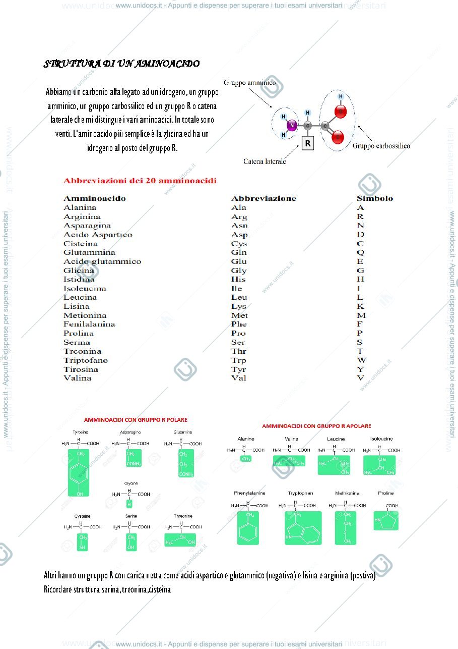 Anteprima pagina 3 — Parte 1- Appunti biologia anlimale 