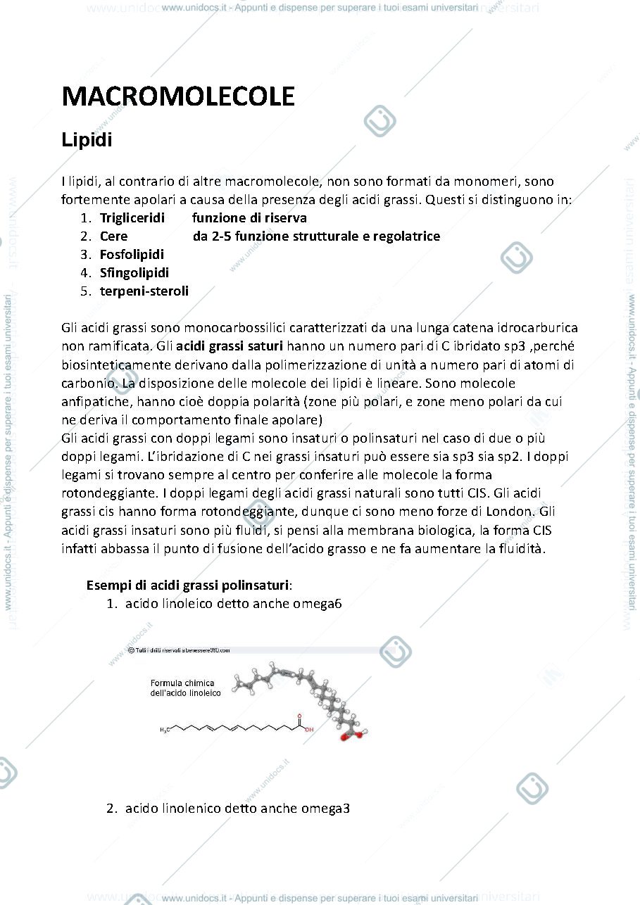 Anteprima pagina 1 — Lipidi