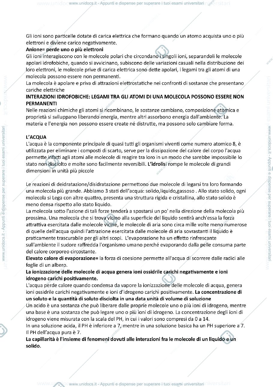 Anteprima pagina 2 — Biologia