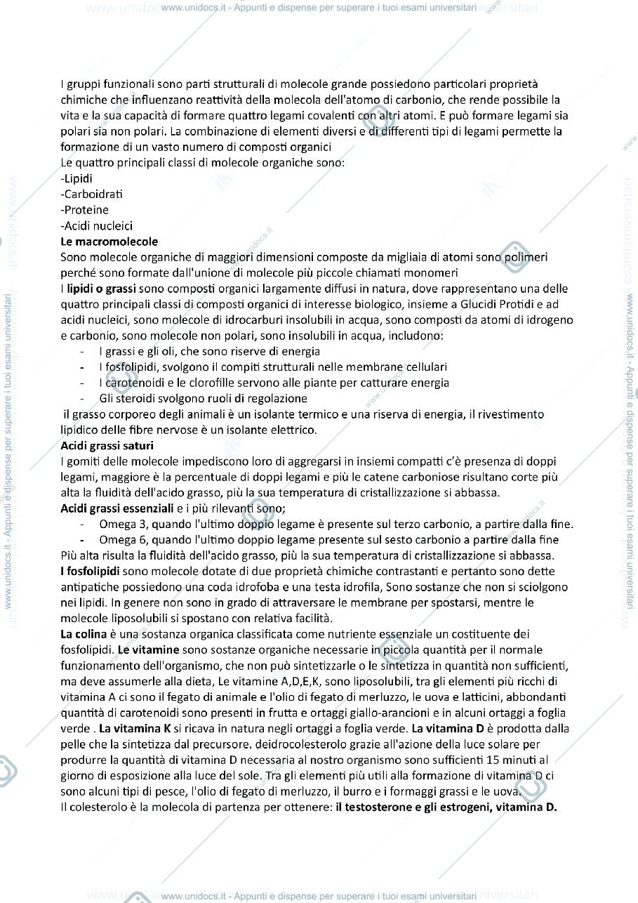 Anteprima pagina 3 — Biologia