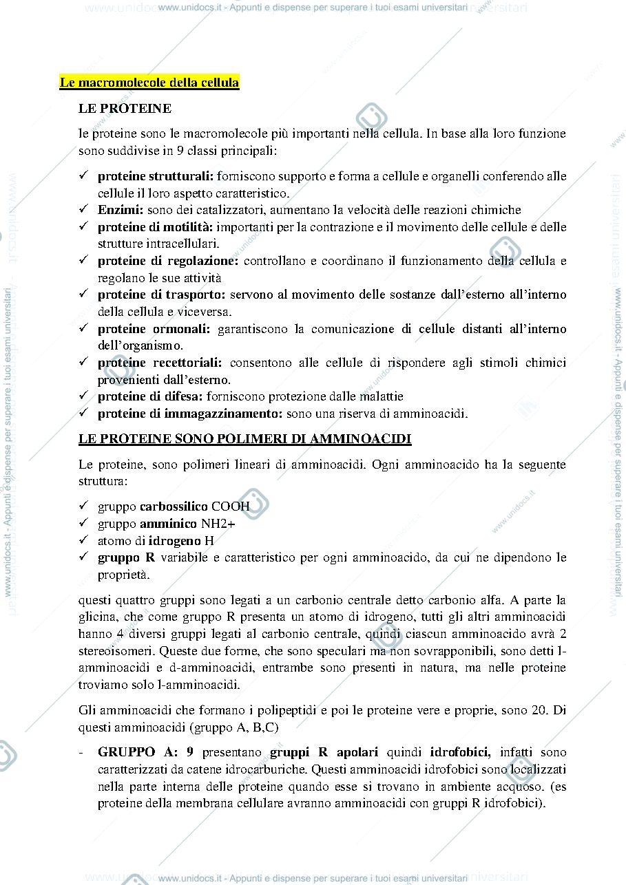 Anteprima pagina 1 — le macromolecole 