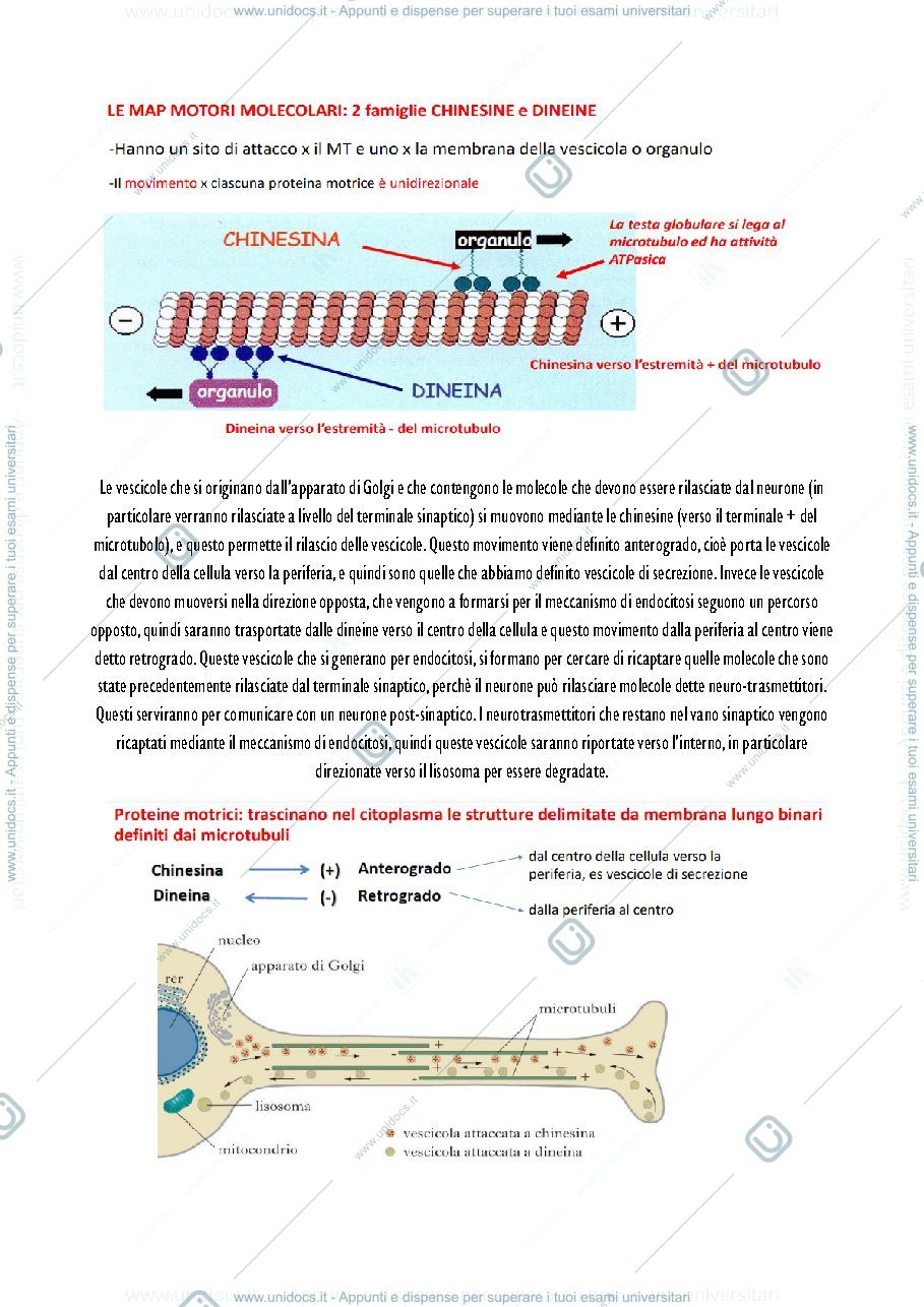 Anteprima pagina 3 — parte 3 - Biologia animale 