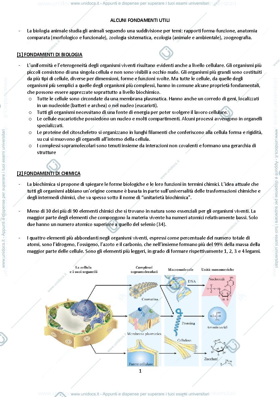 Anteprima pagina 1 — Biologia animale