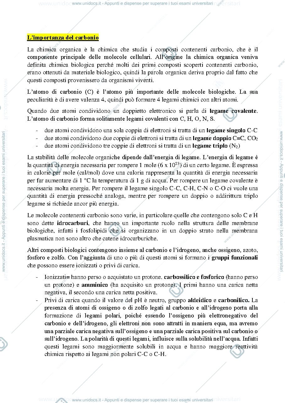Anteprima pagina 1 — carbonio 