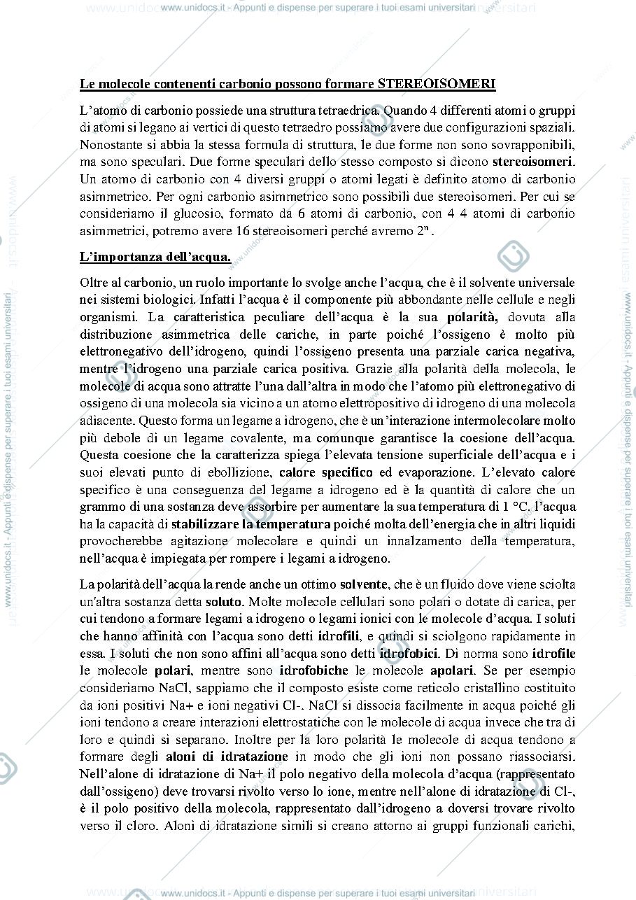 Anteprima pagina 2 — carbonio 