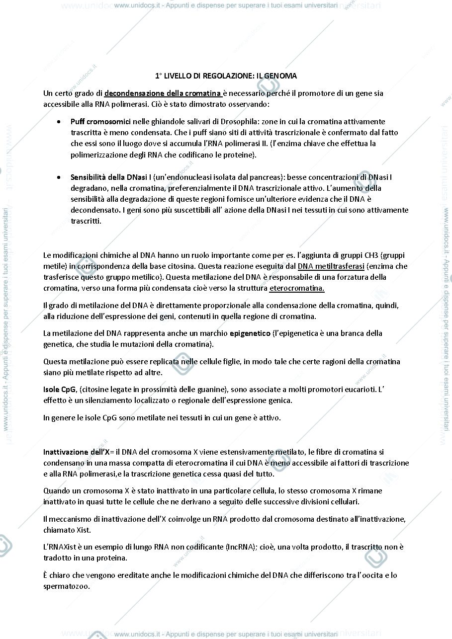 Anteprima pagina 1 — I vari livellli di regolazioni