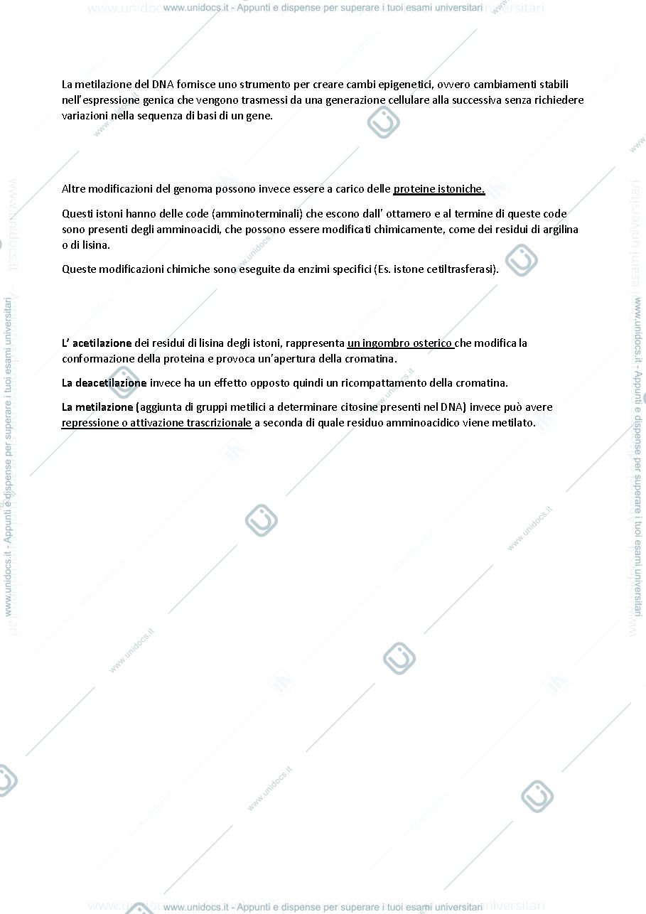 Anteprima pagina 2 — I vari livellli di regolazioni