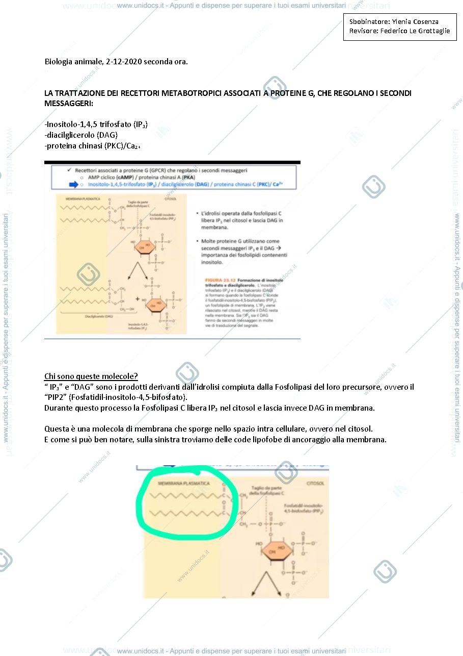 Anteprima pagina 1 — Recettori Metabotropici