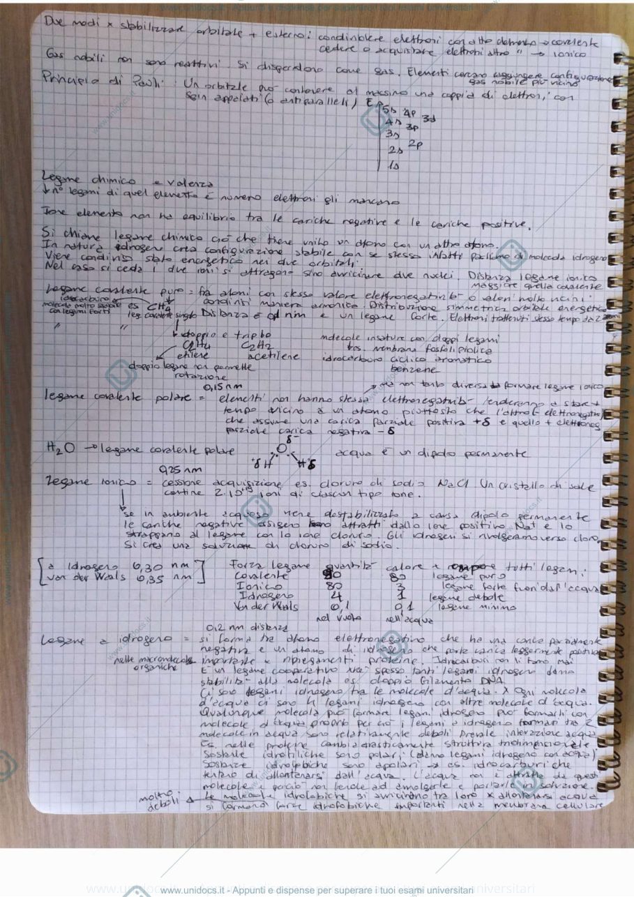 Anteprima pagina 2 — Biologia animale 