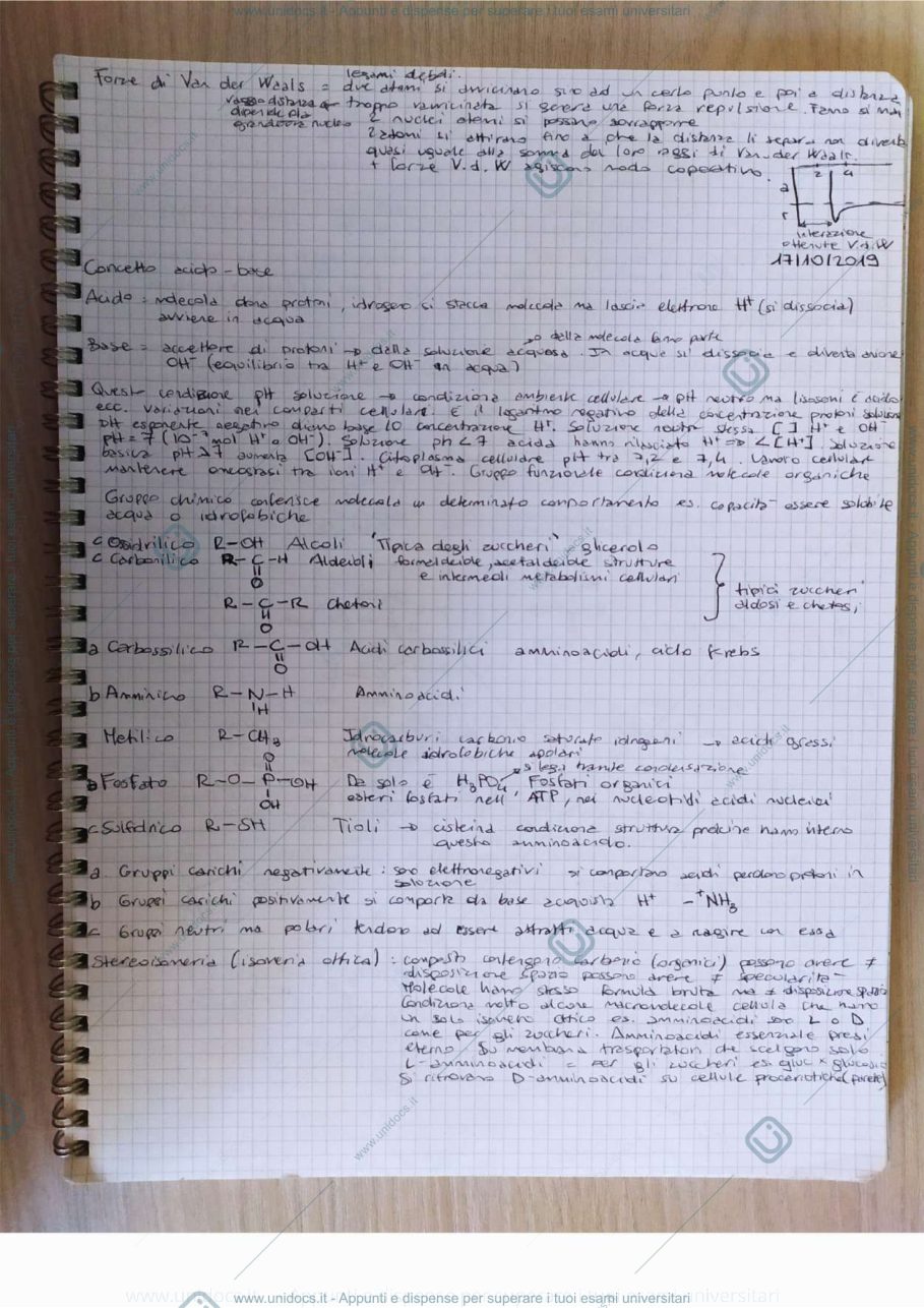 Anteprima pagina 3 — Biologia animale 