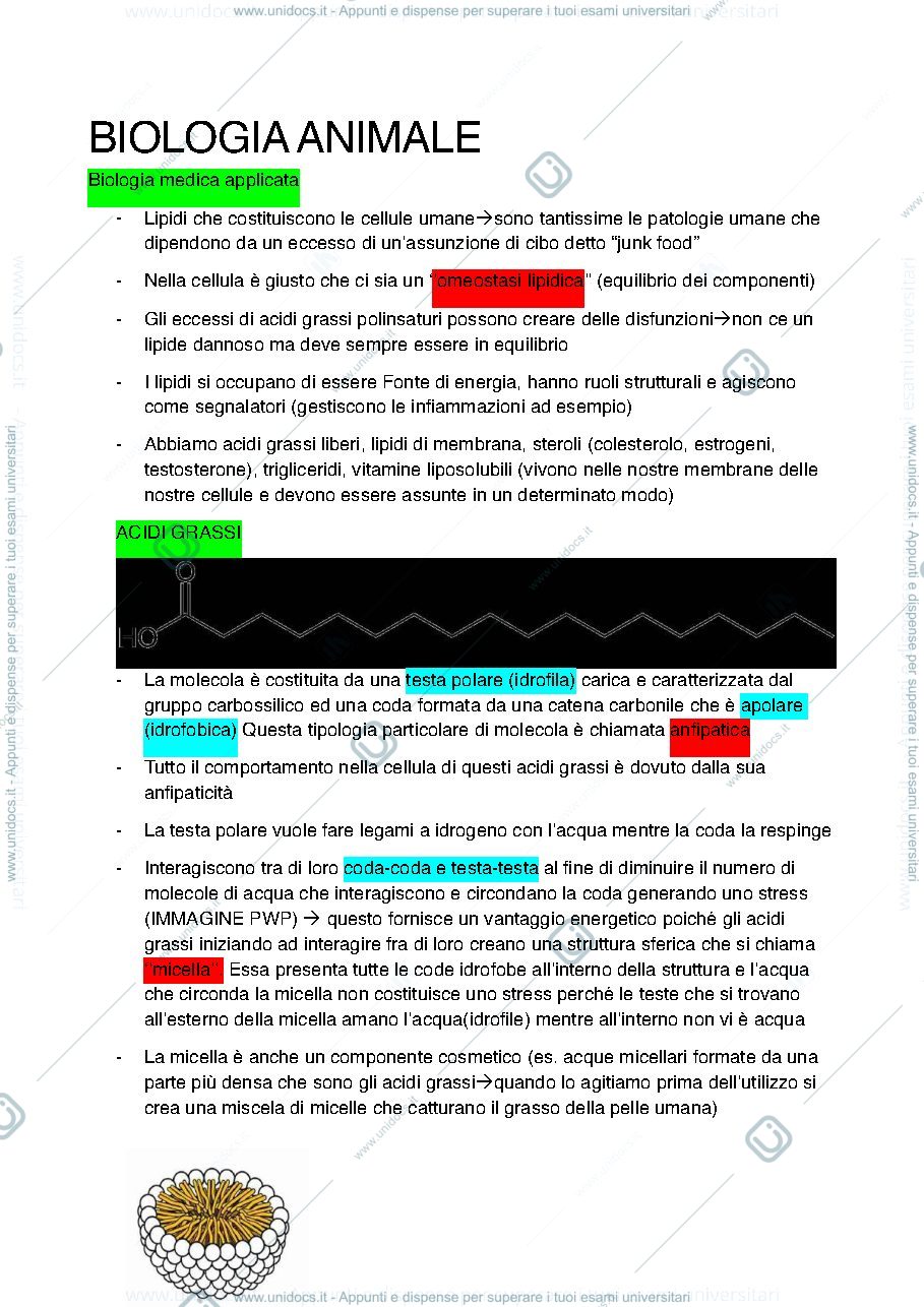 Anteprima pagina 1 — Appunti biologia animale