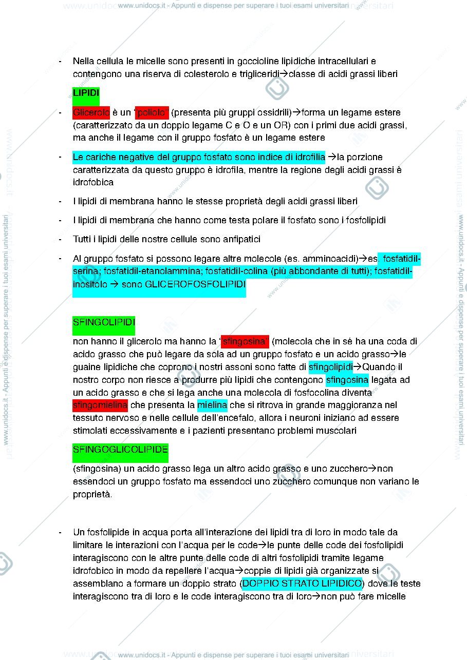 Anteprima pagina 2 — Appunti biologia animale