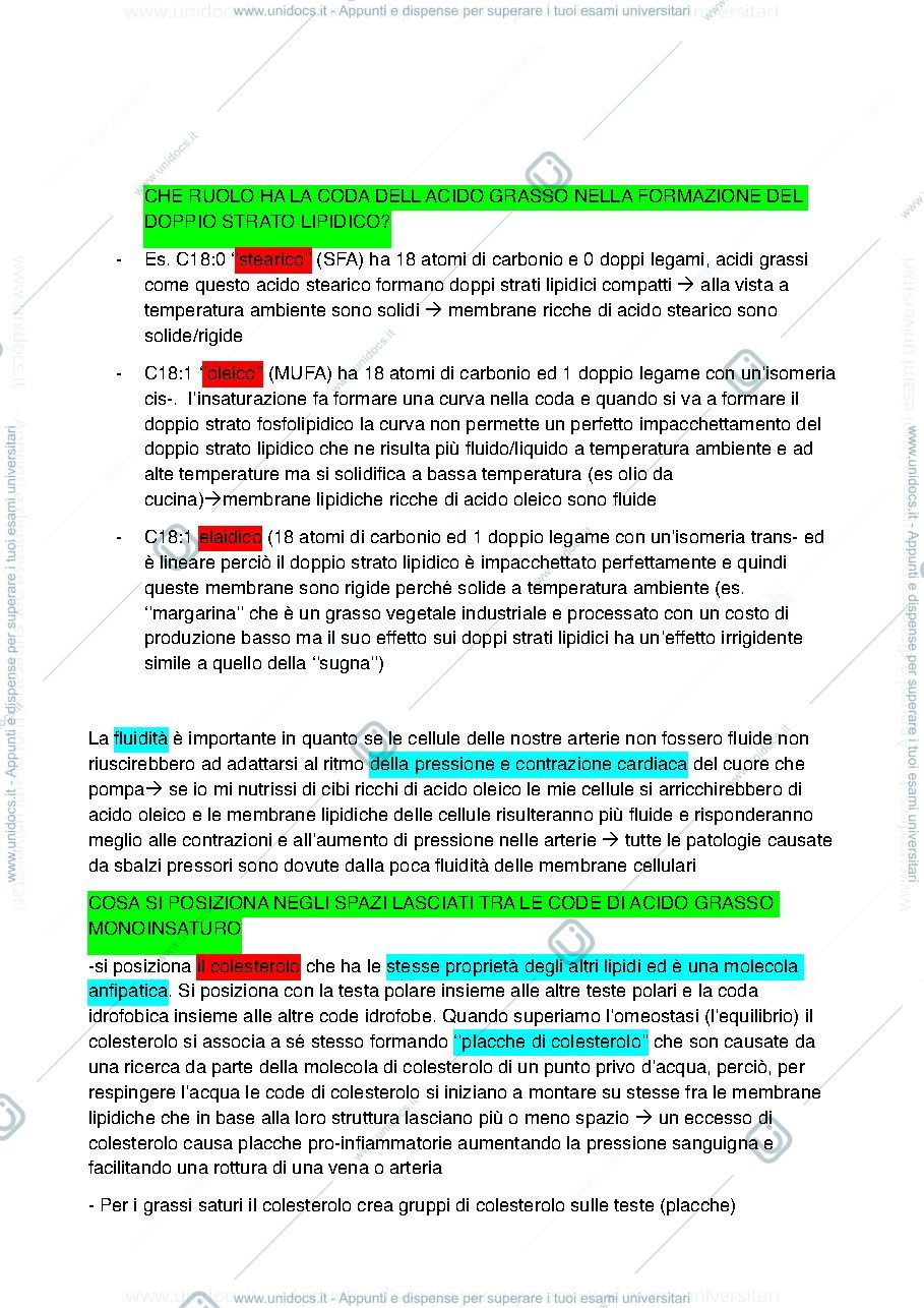Anteprima pagina 4 — Appunti biologia animale