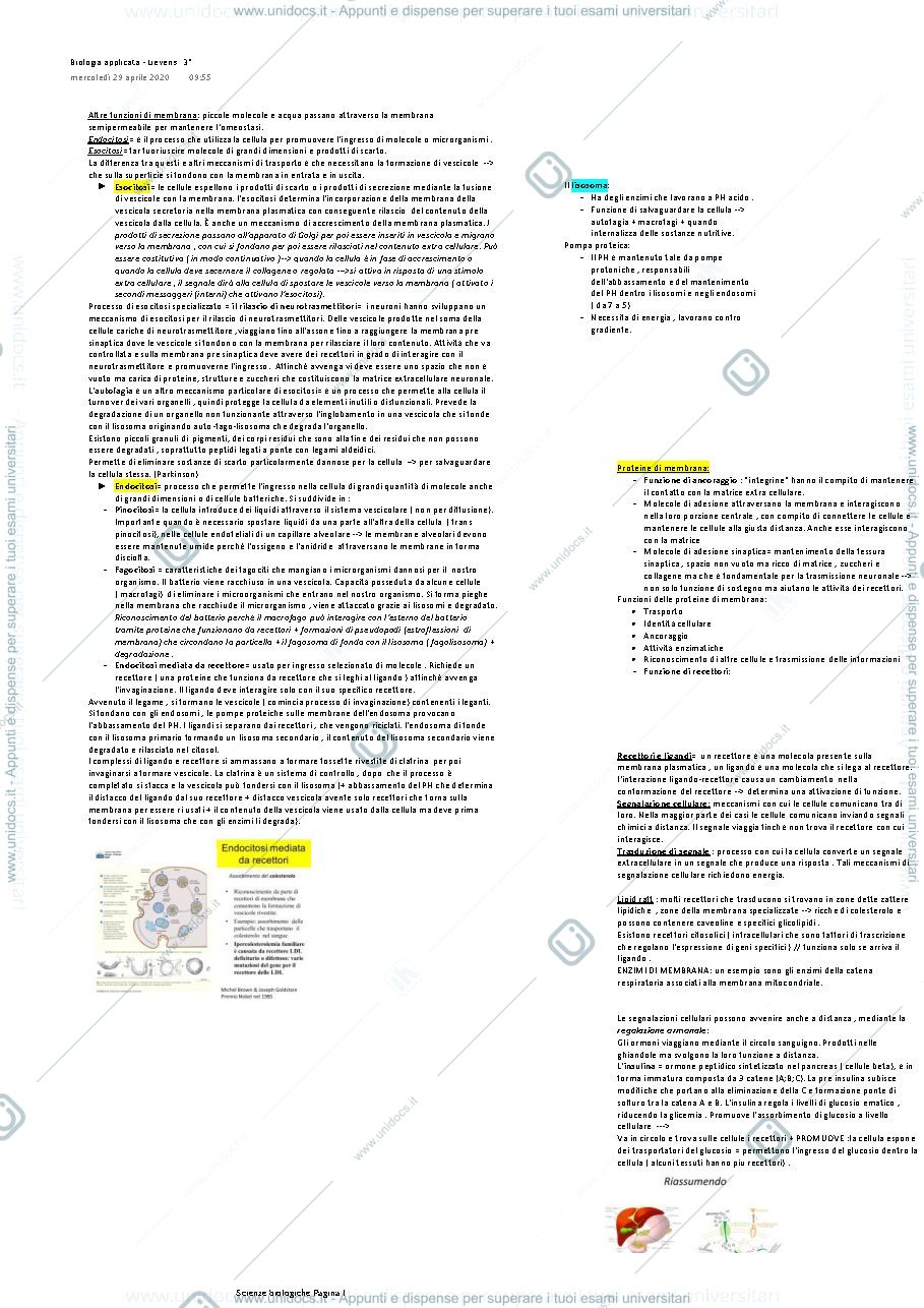 Anteprima pagina 1 — esocitosi , endocitosi