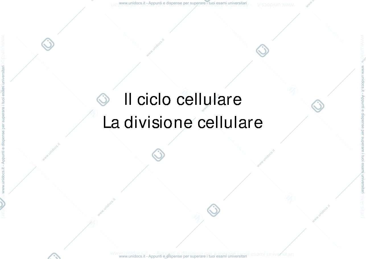 Anteprima pagina 1 — ciclo cellulare