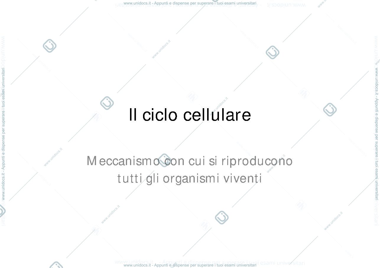 Anteprima pagina 2 — ciclo cellulare