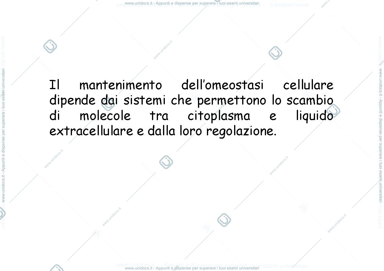 Anteprima pagina 1 — Trasporti di membrana