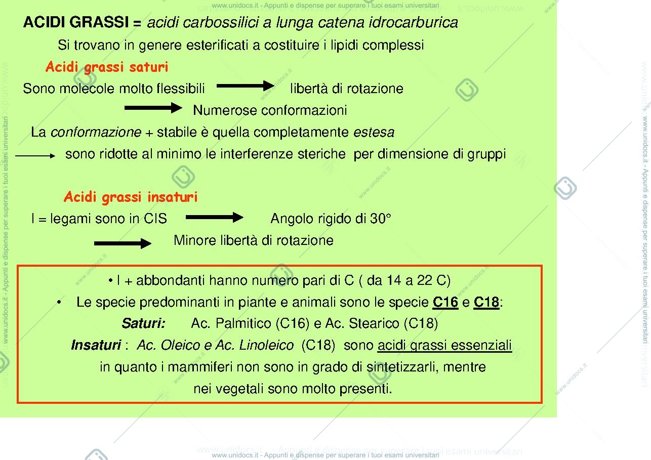 Anteprima pagina 2 — membrana cellulare