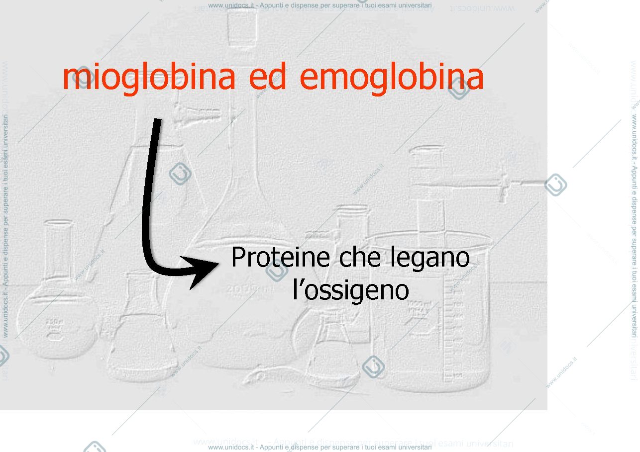 Anteprima pagina 2 — proteine globulari