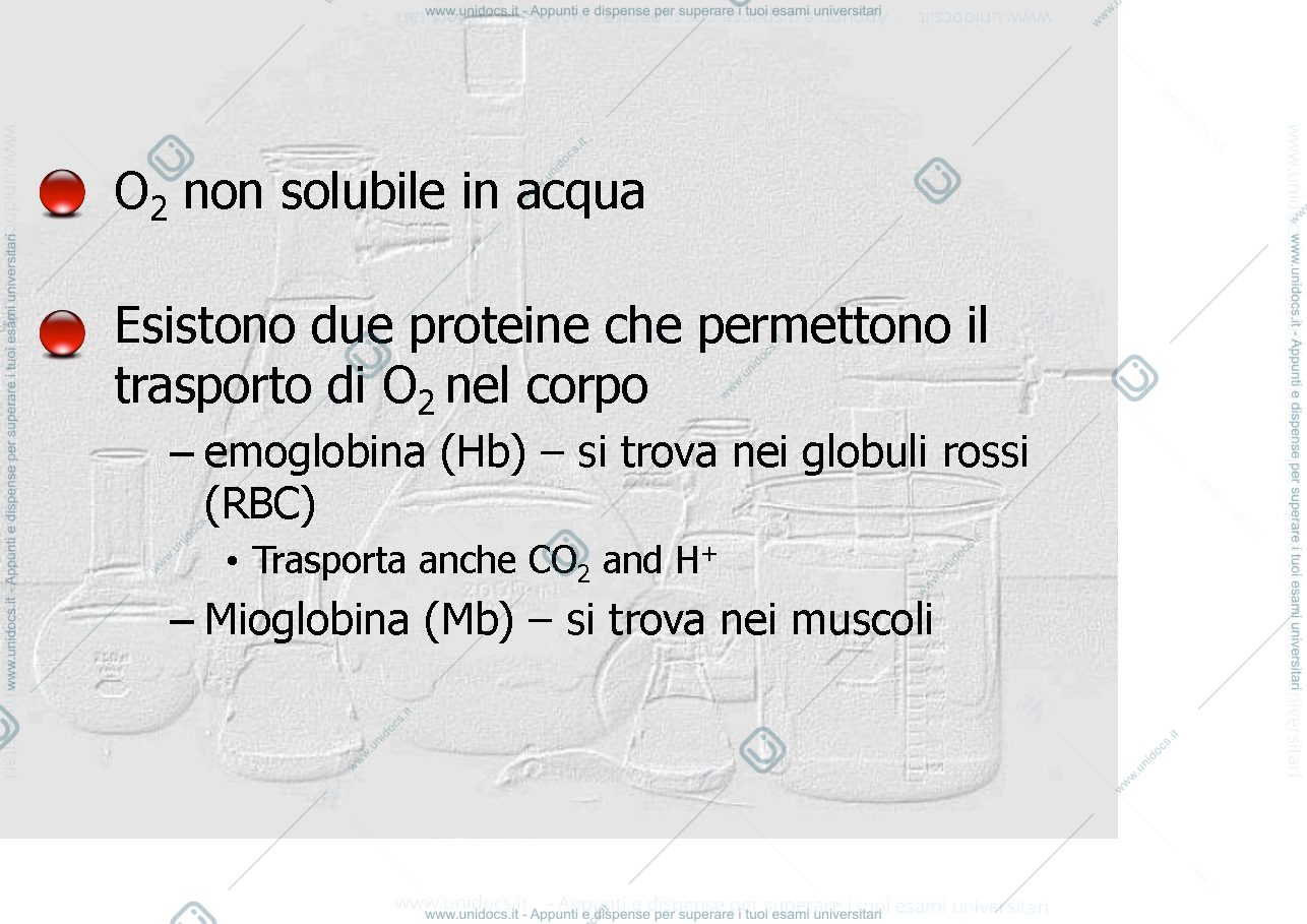 Anteprima pagina 3 — proteine globulari