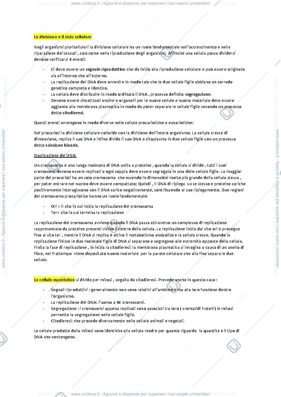Anteprima pagina 1 — La divisione e il ciclo cellulare