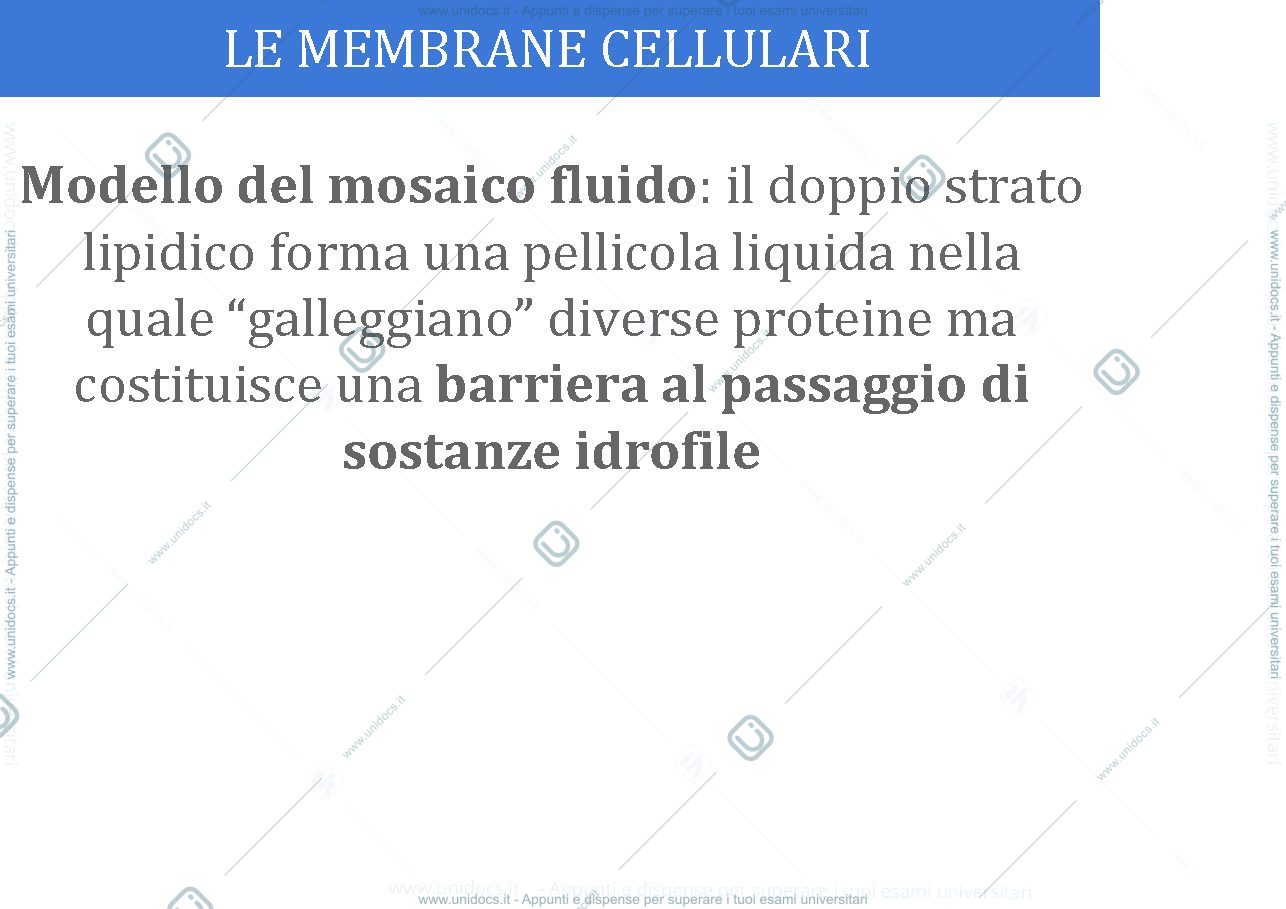 Anteprima pagina 3 — membrane biologiche