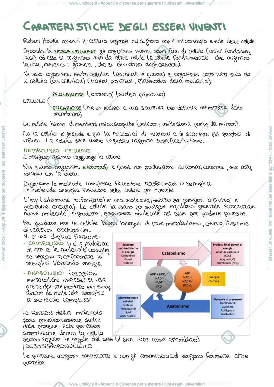 Anteprima pagina 1 — Biologia 