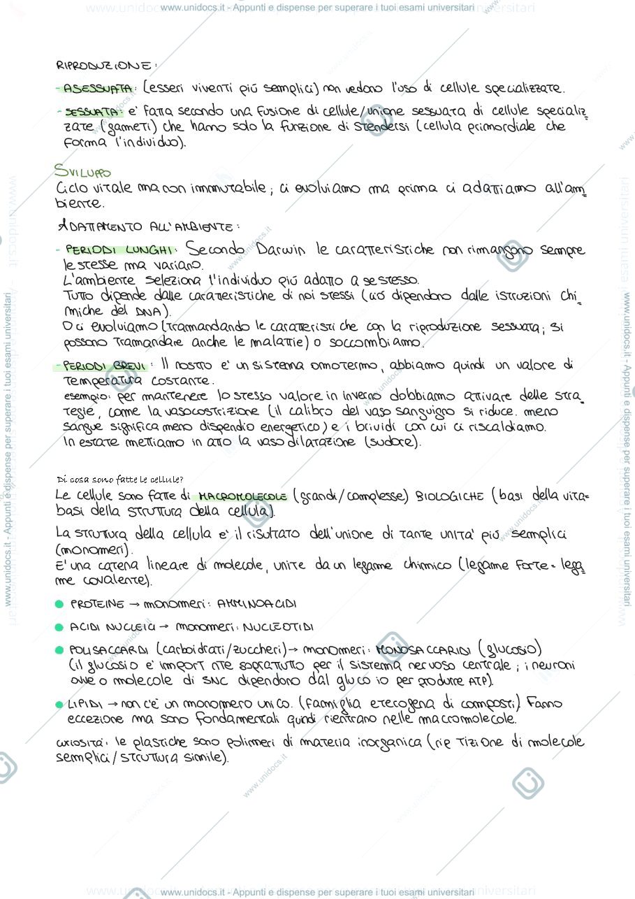 Anteprima pagina 2 — Biologia 