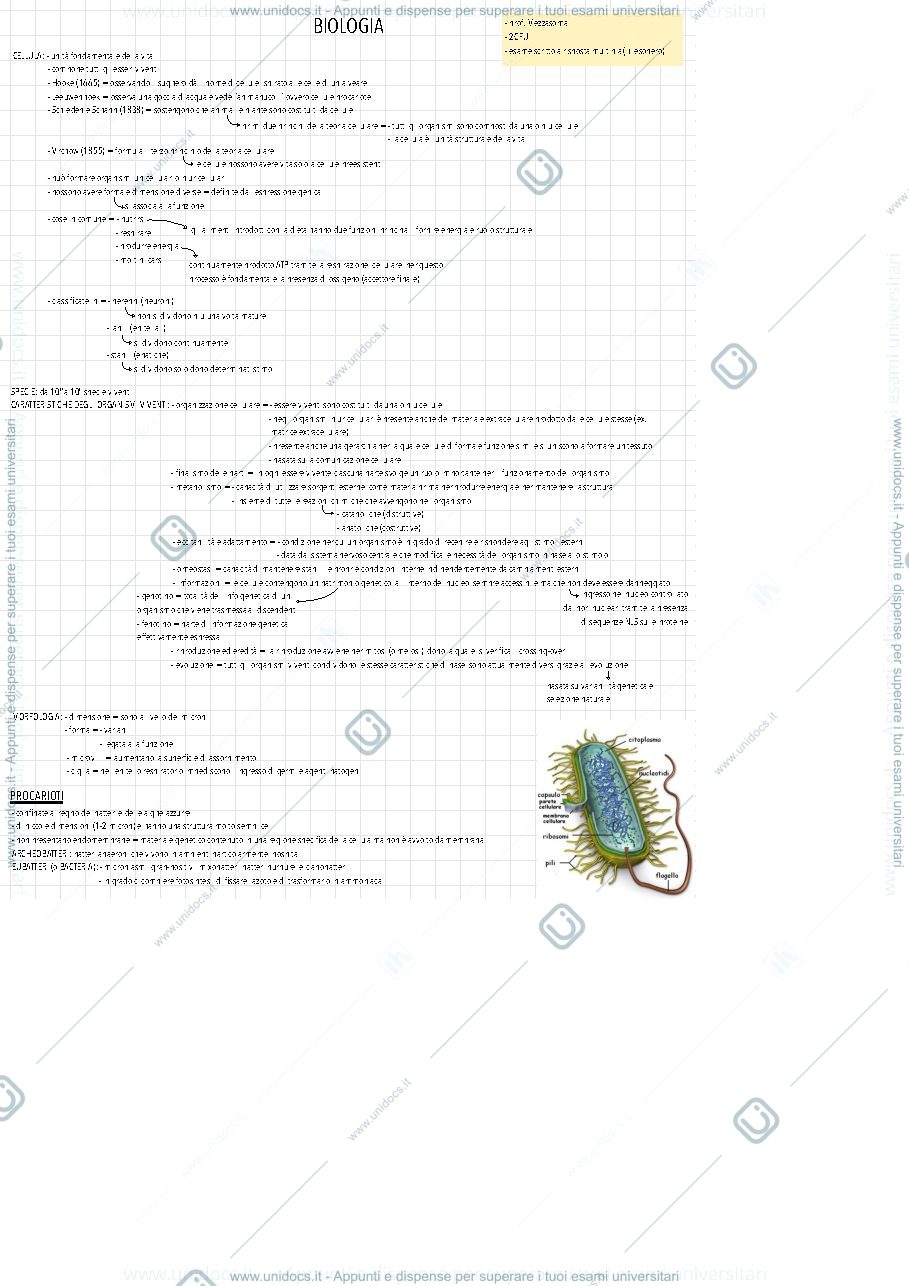 Anteprima pagina 1 — Biologia, canale B