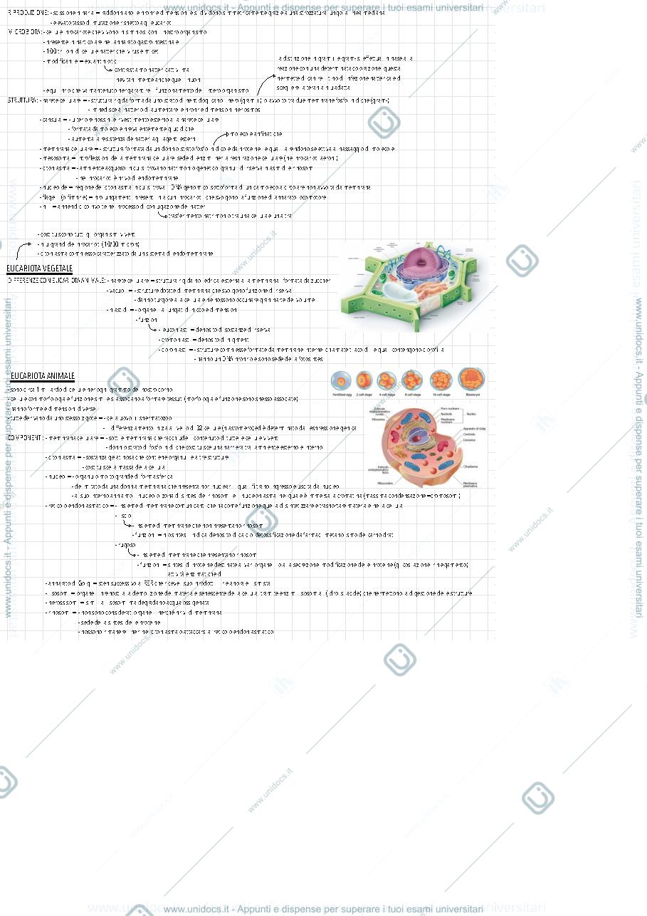 Anteprima pagina 2 — Biologia, canale B