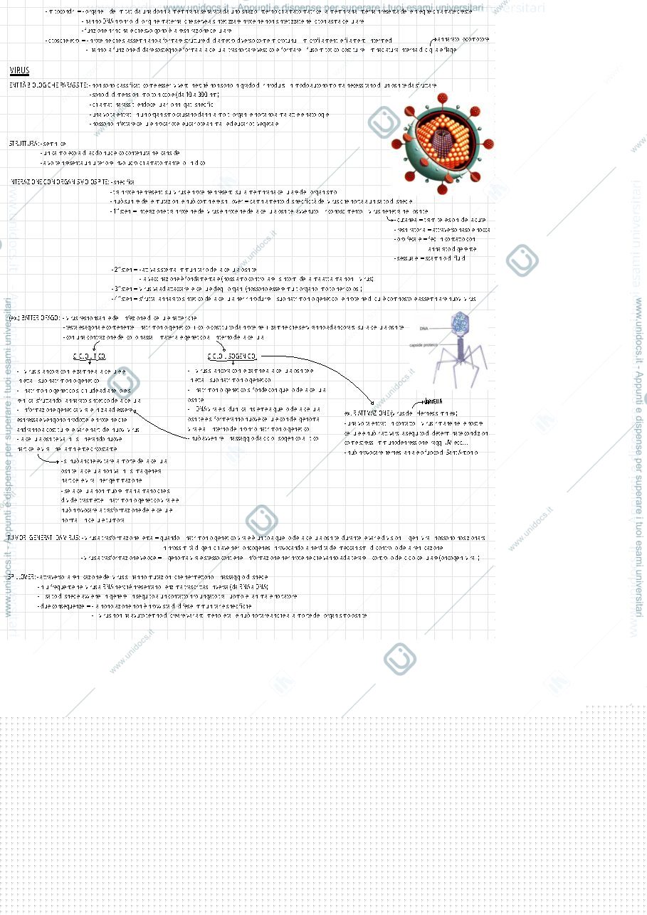Anteprima pagina 3 — Biologia, canale B