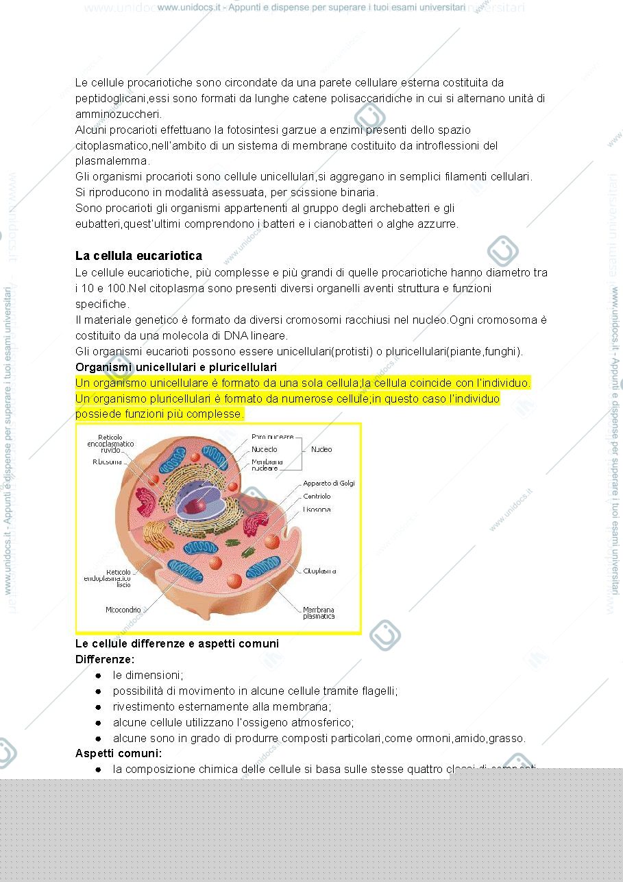 Anteprima pagina 2 — Biologia cellulare 