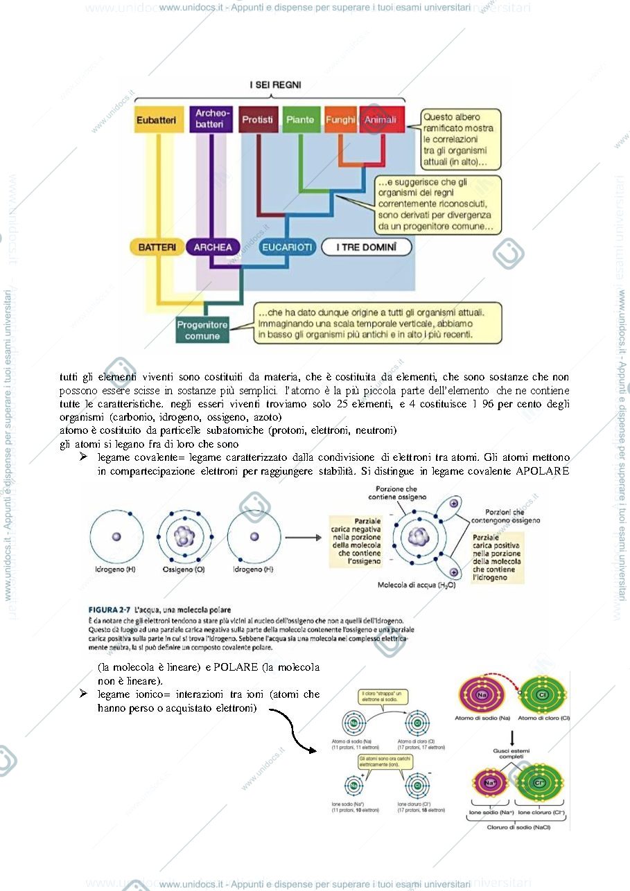 Anteprima pagina 2 — BIOLOGIA APPLICATA APPUNTI