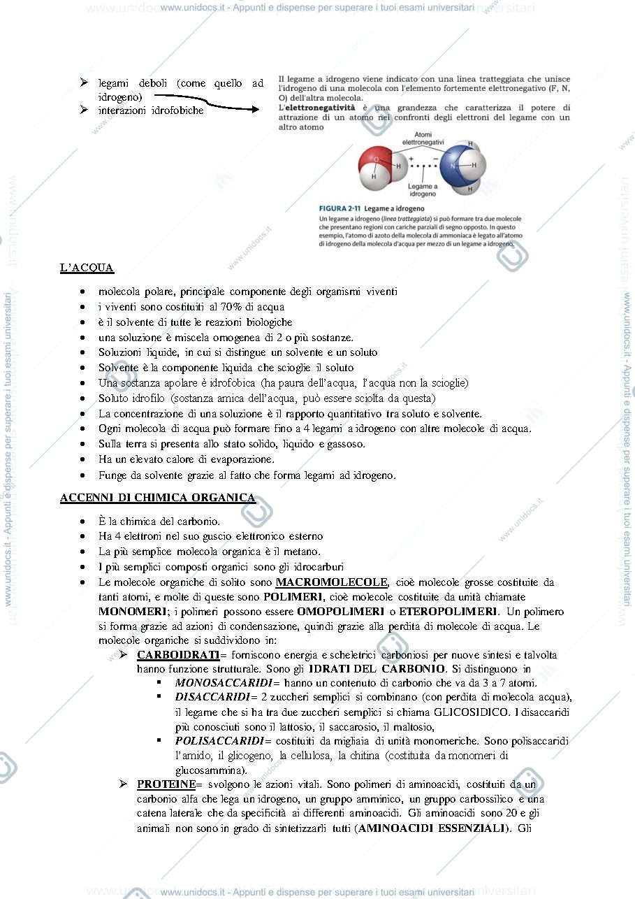 Anteprima pagina 3 — BIOLOGIA APPLICATA APPUNTI