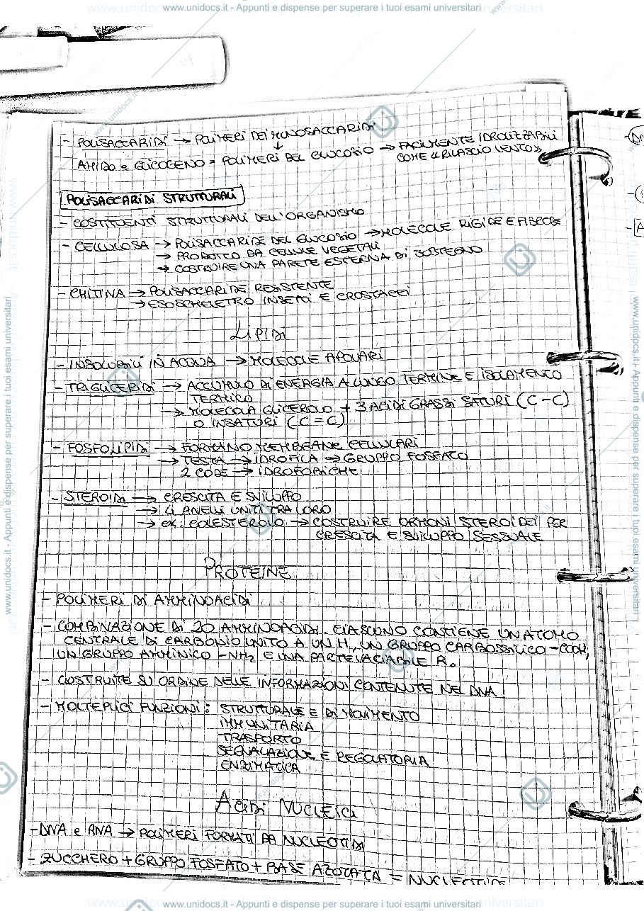 Anteprima pagina 2 — appunti/riassunto biologia applicata 