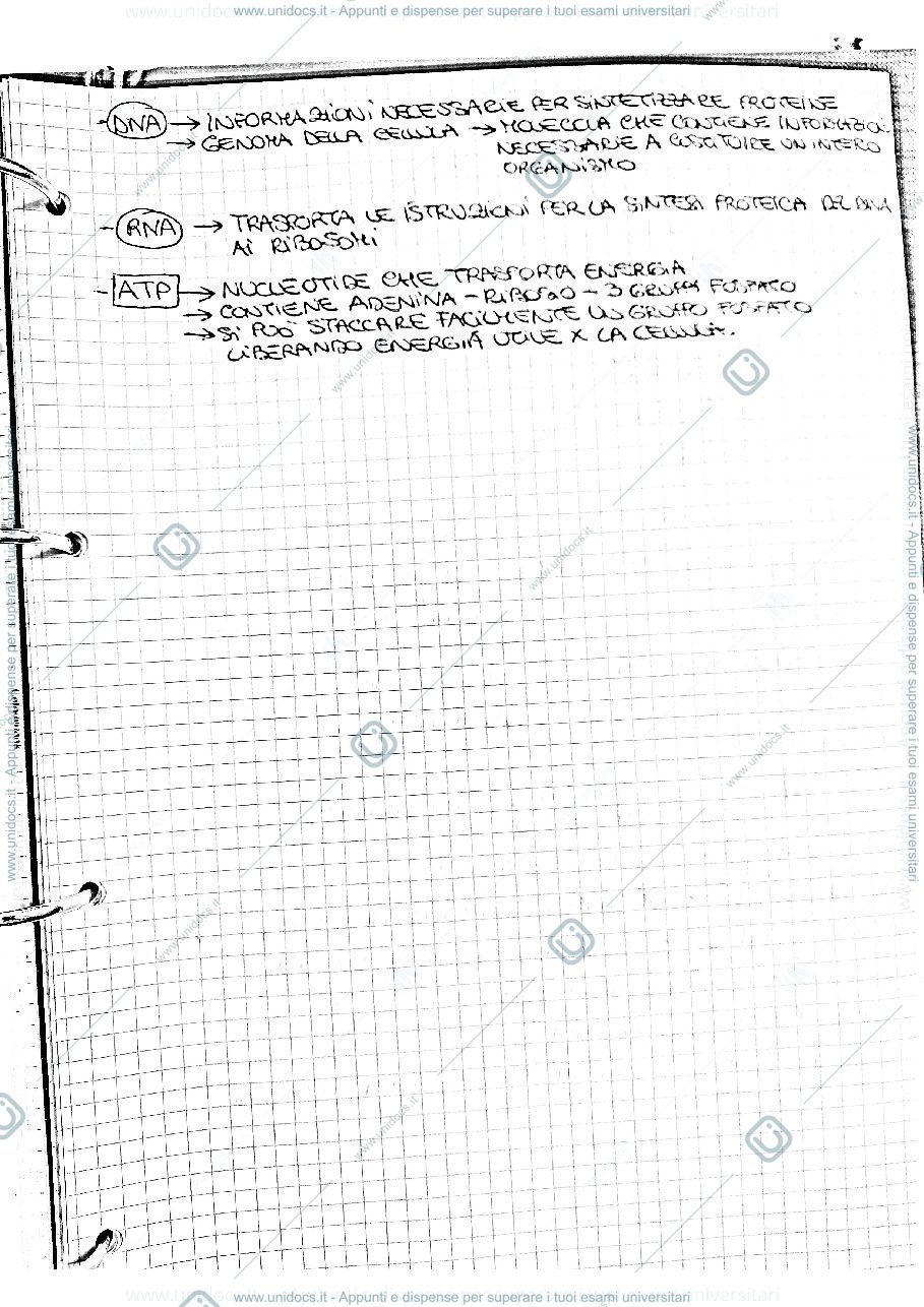 Anteprima pagina 3 — appunti/riassunto biologia applicata 