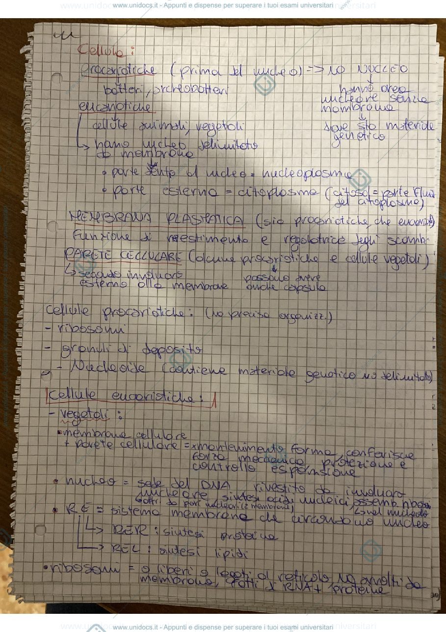 Anteprima pagina 1 — Riassunti biologia applicata