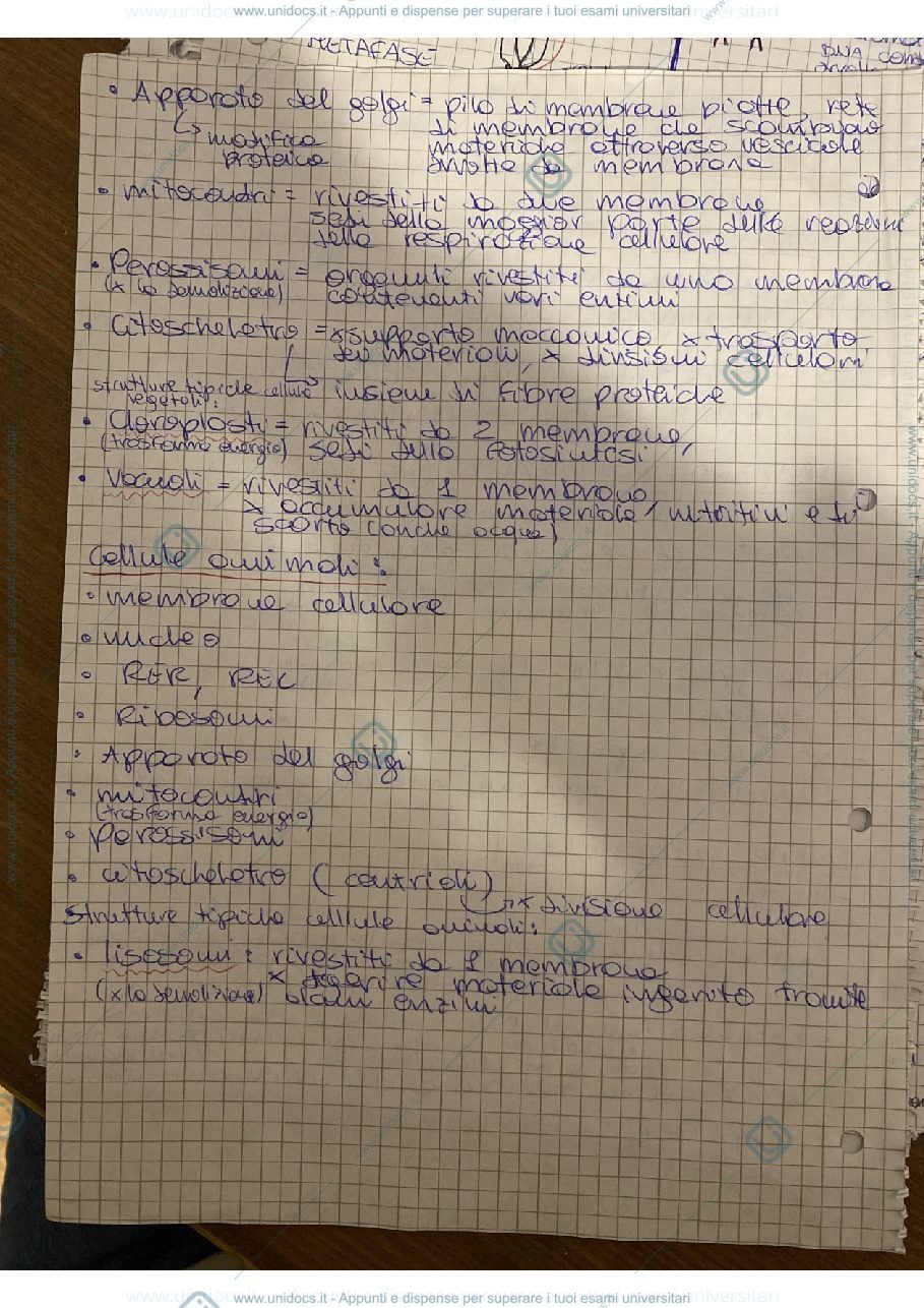 Anteprima pagina 2 — Riassunti biologia applicata
